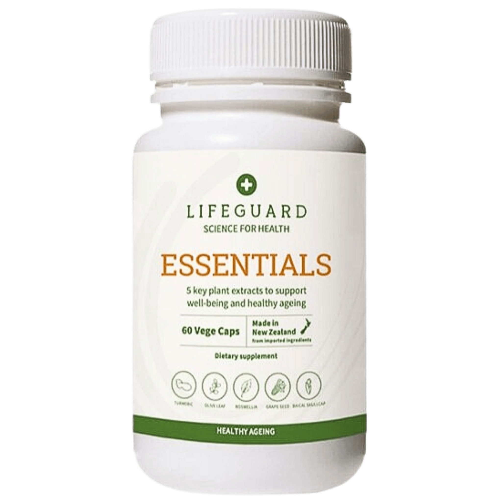 Lifeguard Essentials – Bronzed Goddess