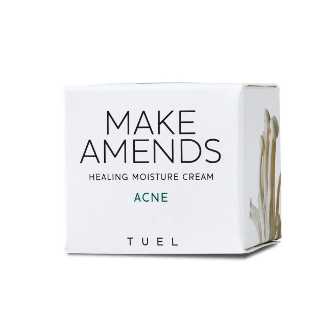 Make Amends Restoring Moisture Cream
